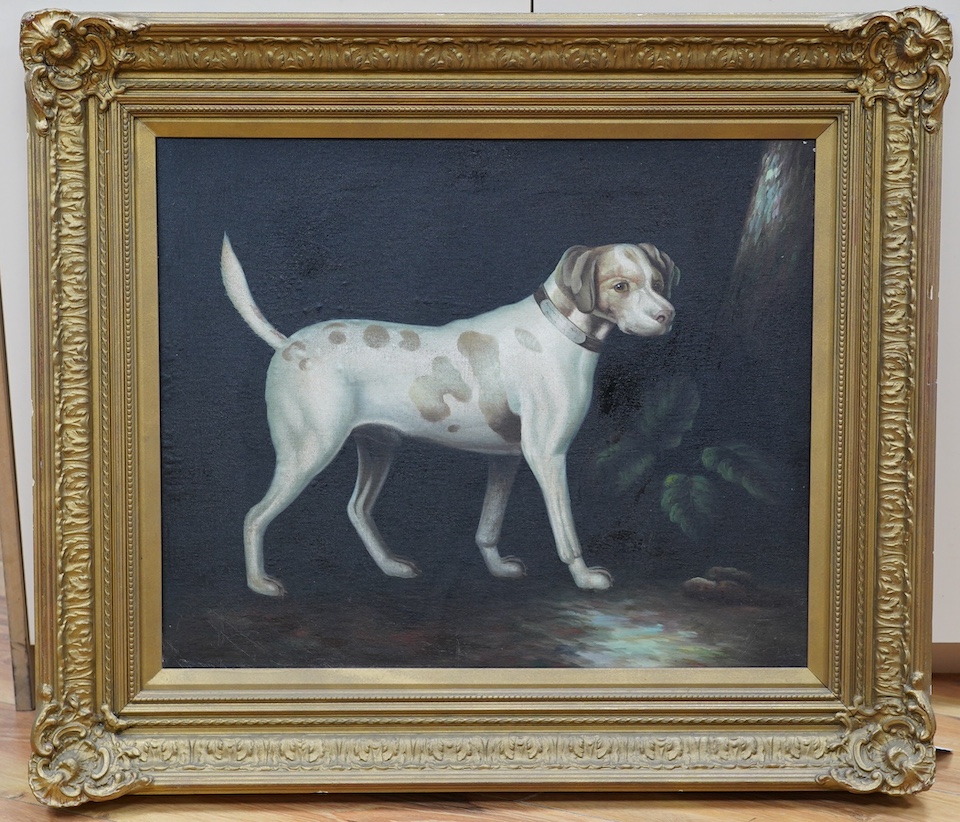 19th century style, oil on canvas, Study of a hound, unsigned, 48 x 59cm, ornate gilt frame. Condition - fair to good